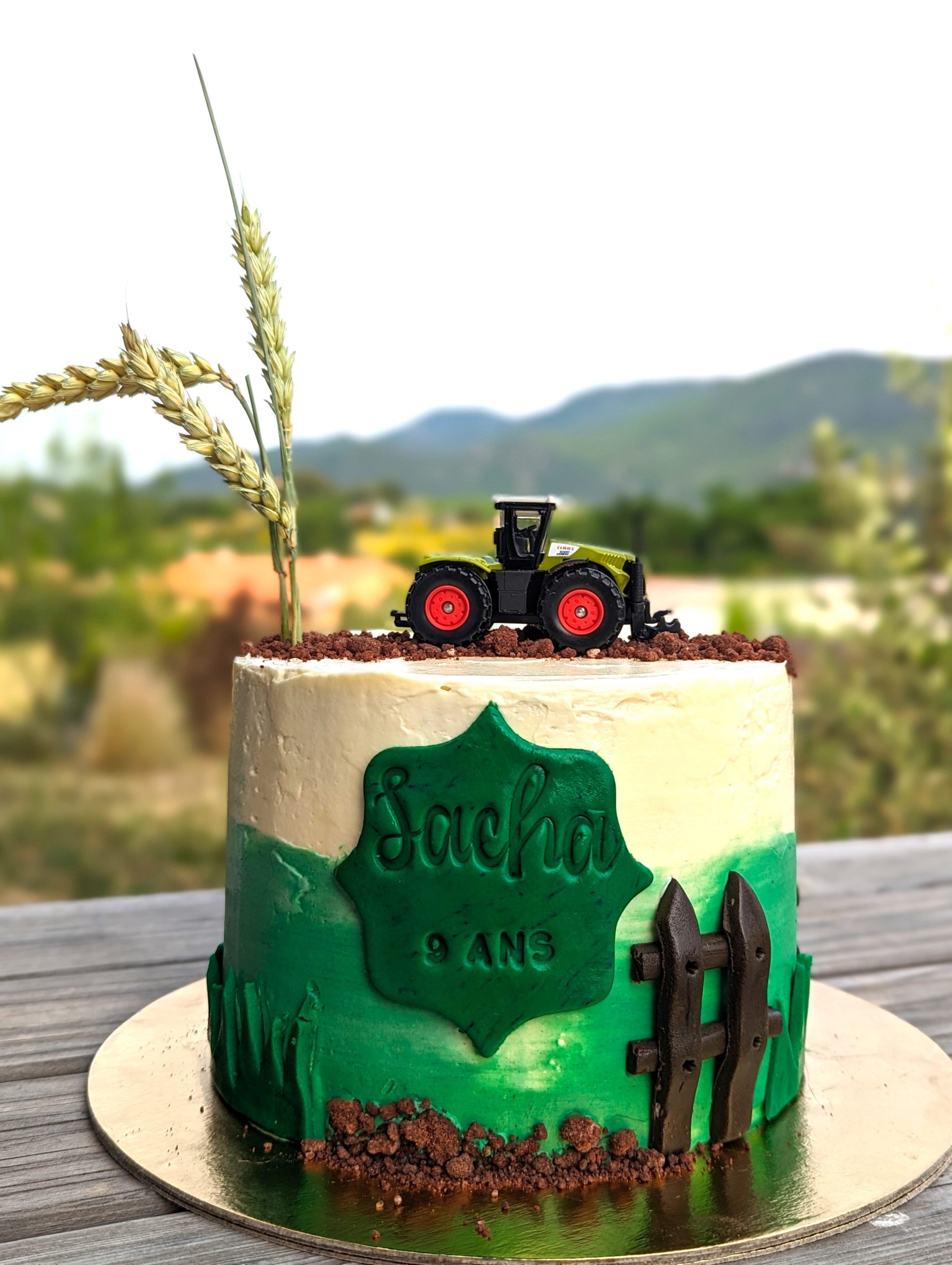 Layers cake tracteur - Papilles Pâtisserie Layers cake tracteur - Papilles Pâtisserie