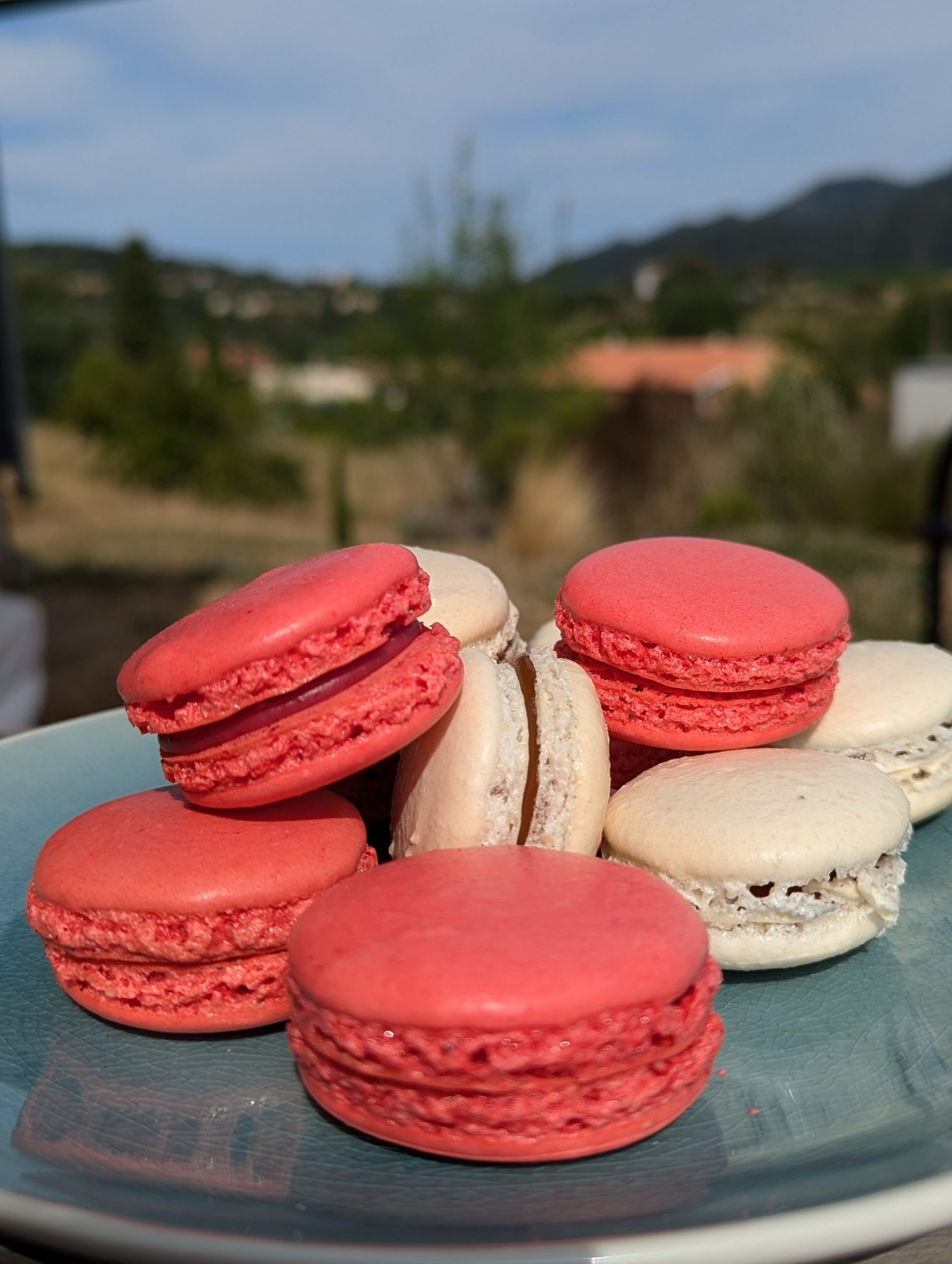 Macarons Papilles Pâtisserie Sans gluten Gluten free