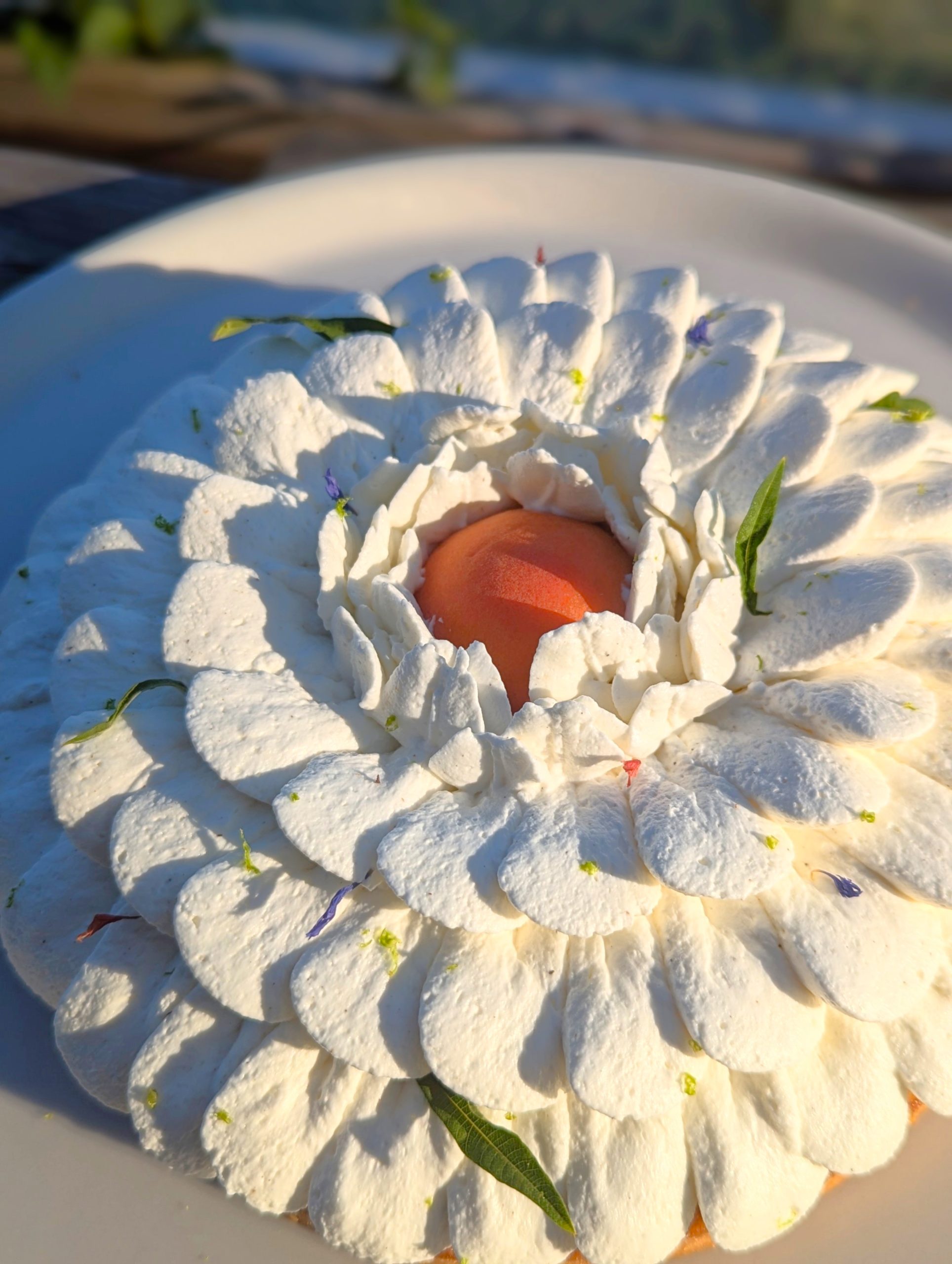 Tarte abricots verveine - Papilles Pâtisserie